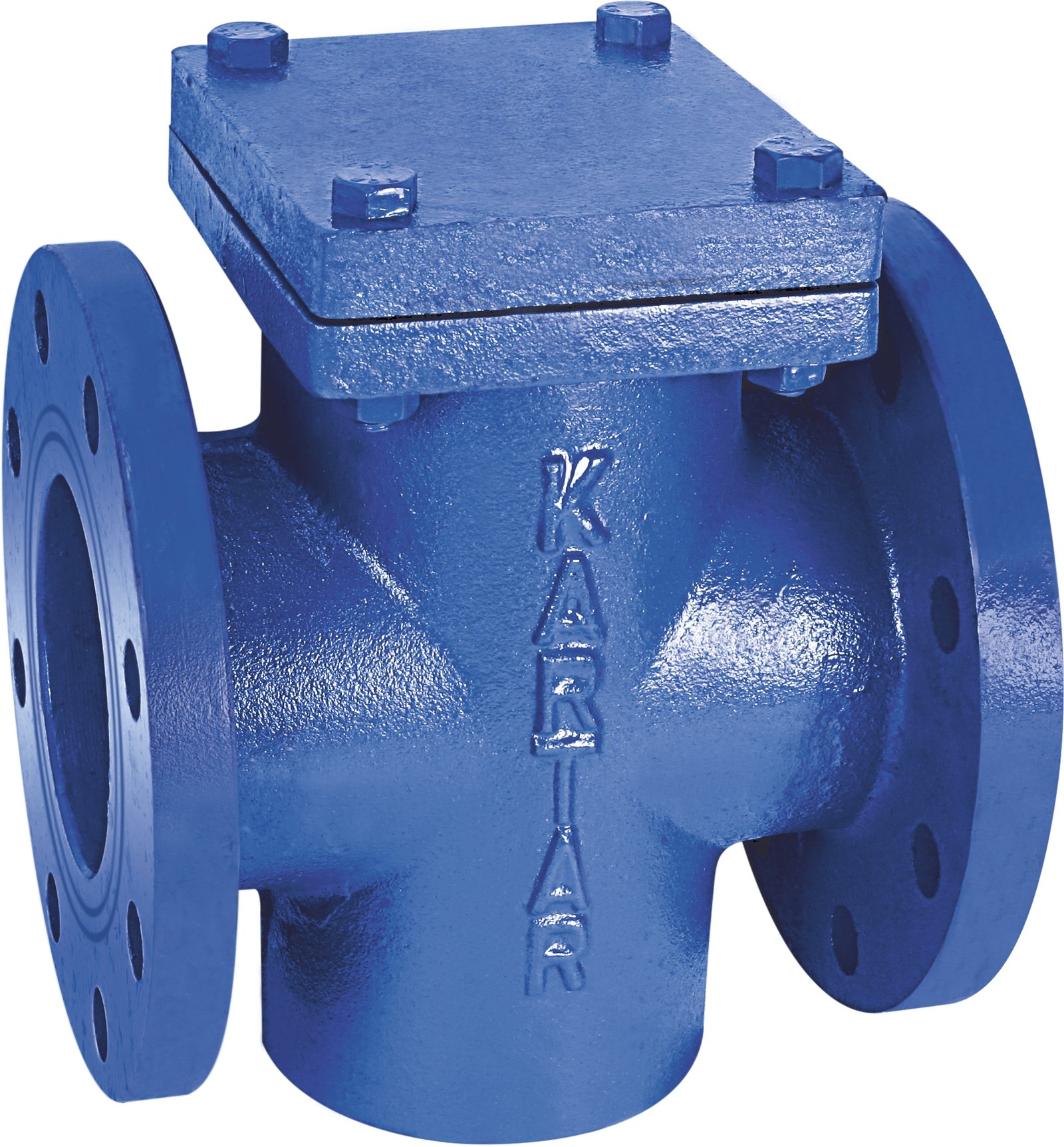 Cast Iron T-Type Strainer